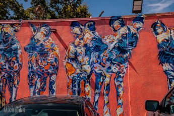 Austin-Texas-2023-229