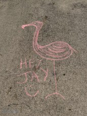 Austin-Texas-2023-257