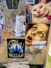 Austin-Texas-2023-259