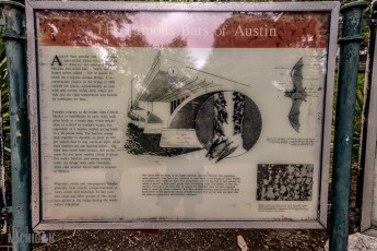 Austin-Texas-2023-39