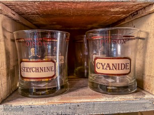 Austin-Texas-2023-97