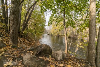 Dexter Cider Mill - 2016-8