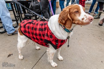 Flapjack-and-Flannel-Festival-2019-31
