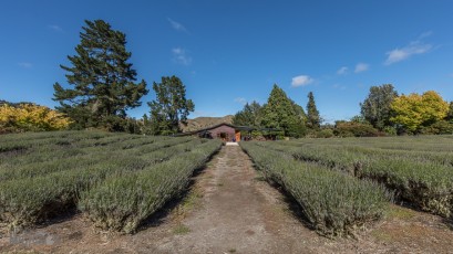 Forgotten-Highway-New-Zealand-14