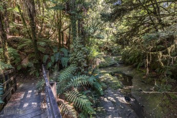 Forgotten-Highway-New-Zealand-22