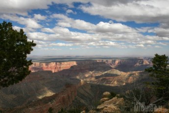 Canyon view