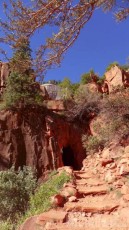 Looking back toward the top of North Kaibab