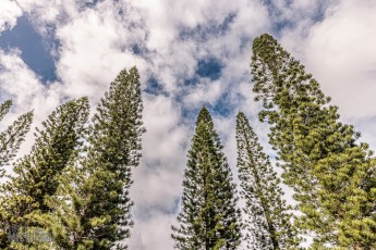 Hawaii-Kauai-Week1-2024-5
