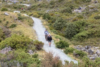 Hiking-New-Zealand-156