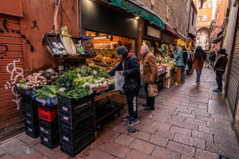 Italy-Bologna-2023-11