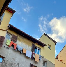 Italy-Florence-2023-135