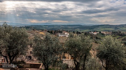 Italy-Siena-tour-33
