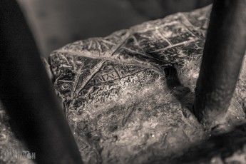 Italy-Venice-2023-43