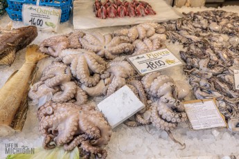 Italy-Venice-2023-75