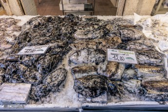 Italy-Venice-2023-76