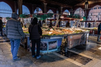 Italy-Venice-2023-77