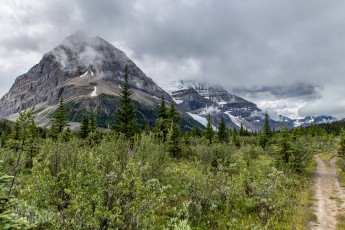 Jasper - Day 4-6