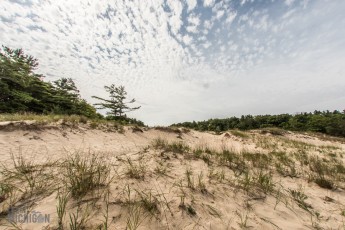 Nordhouse Dunes