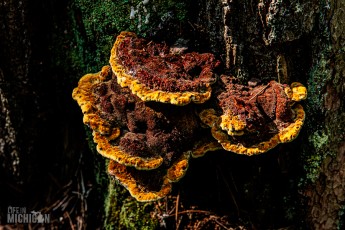 Marquette-hikes-2023-10