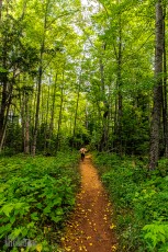 Marquette-hikes-2023-19