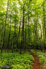 Marquette-hikes-2023-22