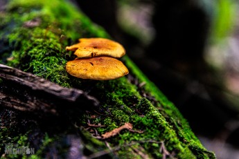 Marquette-hikes-2023-26