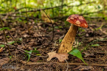 Marquette-hikes-2023-27