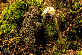 Marquette-hikes-2023-33