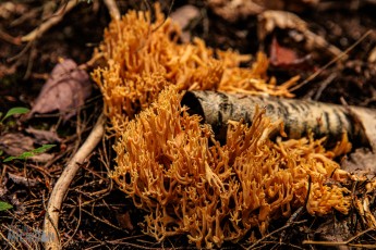 Marquette-hikes-2023-35