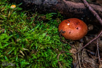 Marquette-hikes-2023-4