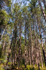 Marquette-hikes-2023-40