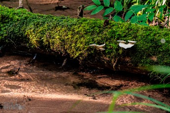 Marquette-hikes-2023-5