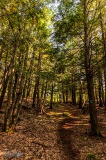 Marquette-hikes-2023-6