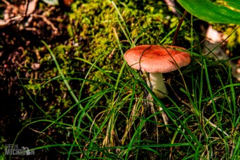 Marquette-hikes-2023-7