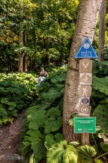 Marquette-hikes-2023-72