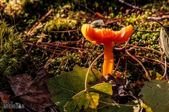 Marquette-hikes-2023-8