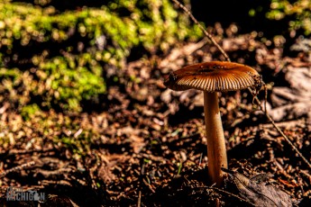 Marquette-hikes-2023-9