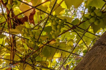 Marquette-Moon-Mtn-2023-5