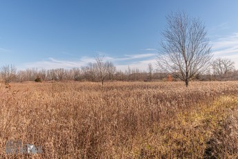 Michigan-Merinos-2023-45