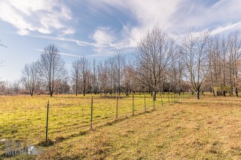 Michigan-Merinos-2023-48