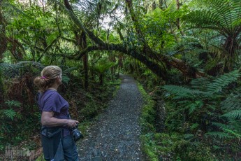 Milford-Sound-Overnight-Cruise-New-Zealand-25