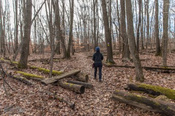 Nan Weston Nature Preserve-2