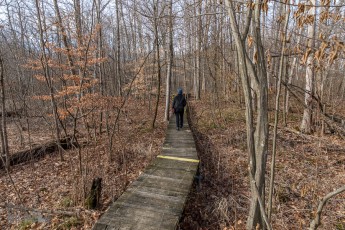 Nan Weston Nature Preserve-5