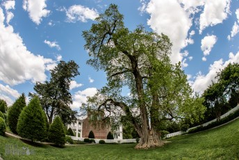 Carnton Plantation - Franklin