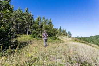 Porcupine Mountains 2014