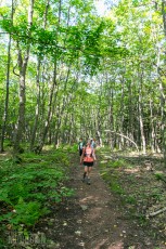 Porcupine Mountains 2014