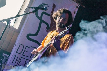 Saga-Regal-Beagle-2024-1