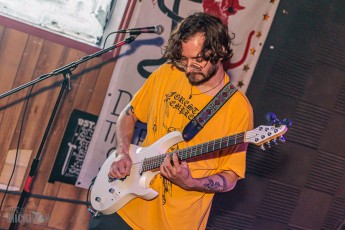 Saga-Regal-Beagle-2024-9