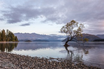 Travel-Ideas-South-Island-New-Zealand-21