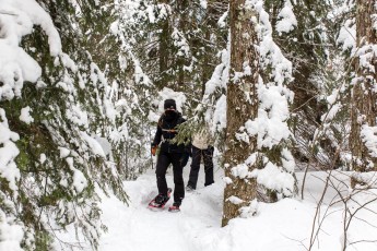 Yellow Dog River Snowshoe - U.P. Winter - 2014 -3